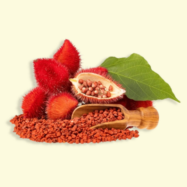 El poder del achiote: beneficios, propiedades y cómo actúa en tu cuerpo