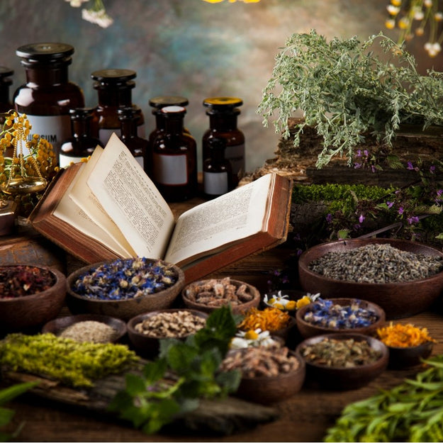 Hierbas Sagradas y Plantas Medicinales — El Secreto Ancestral en los Suplementos Bixahuman