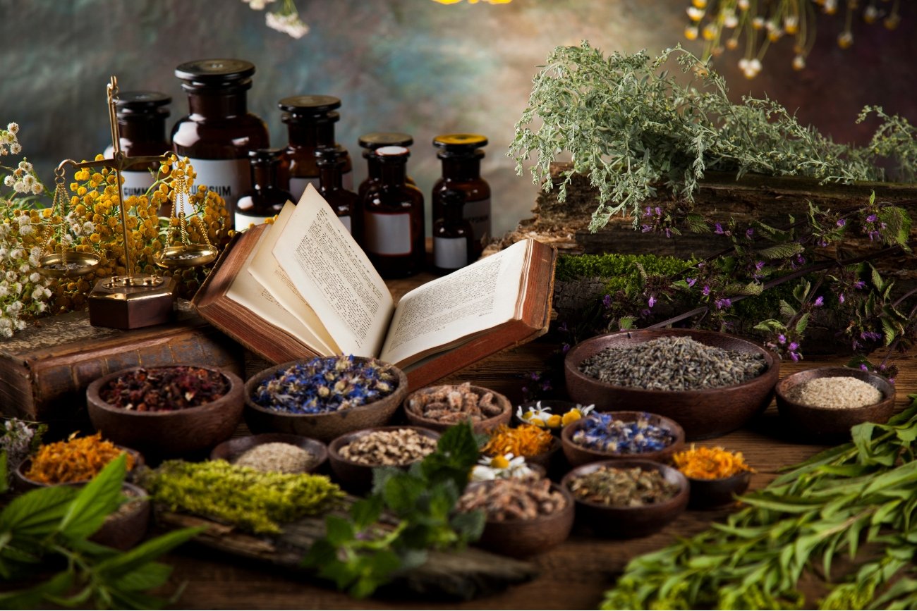 Hierbas Sagradas y Plantas Medicinales — El Secreto Ancestral en los Suplementos Bixahuman