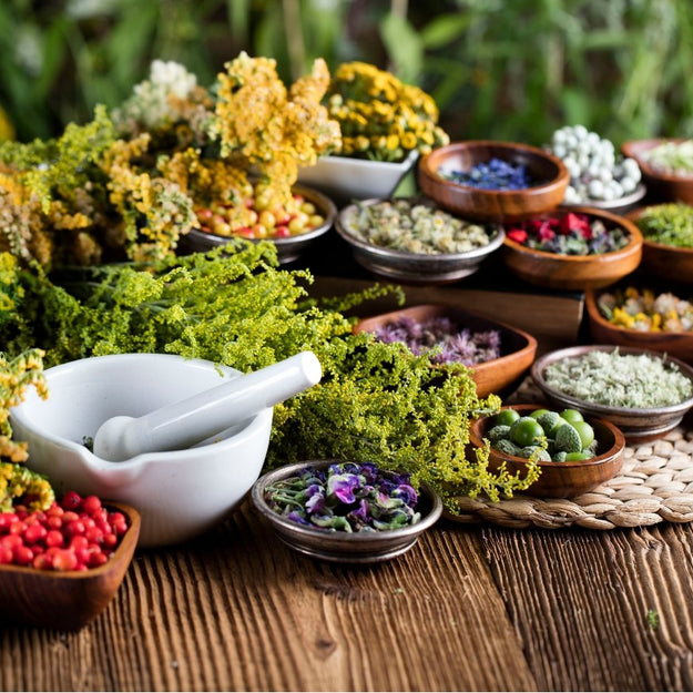 Top 10 Ingredientes Naturales de Bixahuman que Deberías Conocer Ya