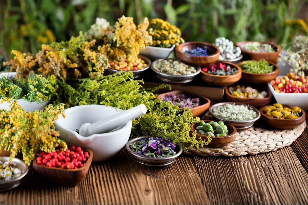 Top 10 Ingredientes Naturales de Bixahuman que Deberías Conocer Ya