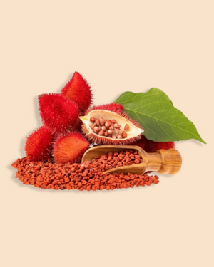 Hojas y Semilla de Achiote