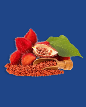 Achiote (semilla y hoja)