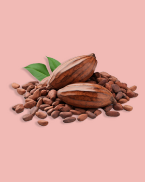 Cacao