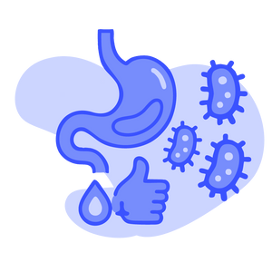 Mejora de la digestión y flora intestinal