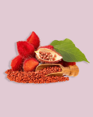 Semilla de Achiote