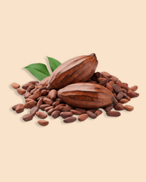 Cacao