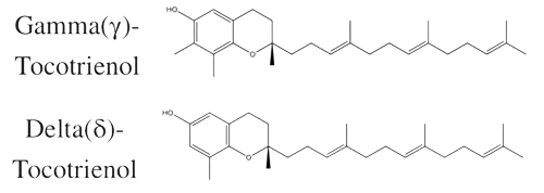 Fundadora