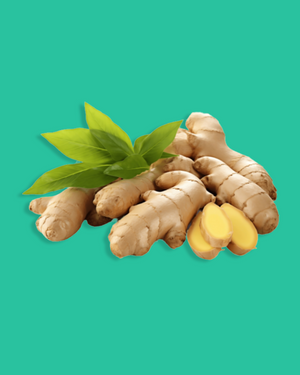 Cúrcuma, jengibre, diente de león