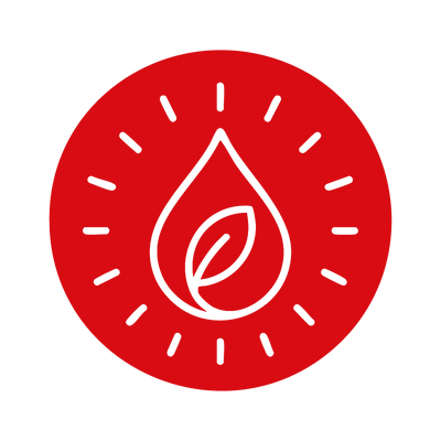 Hierro Natural para tu Sangre